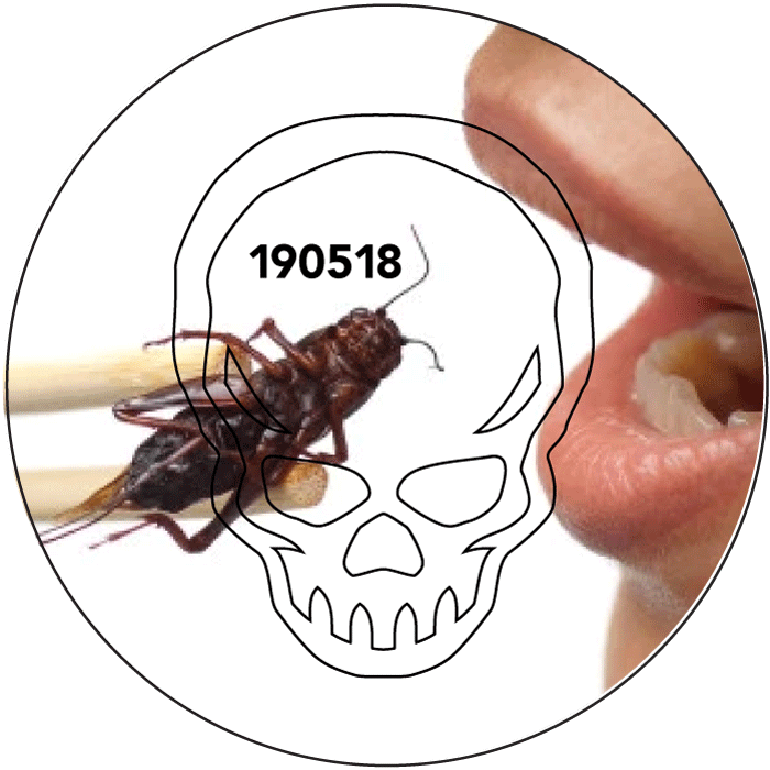 190518-eat-the-cricket.png