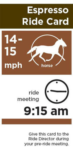 informative rider card showing speed, time of departure, and instructions