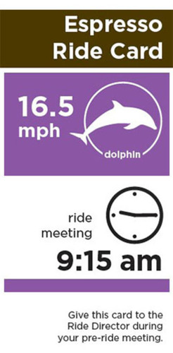 informative rider card showing speed, time of departure, and instructions